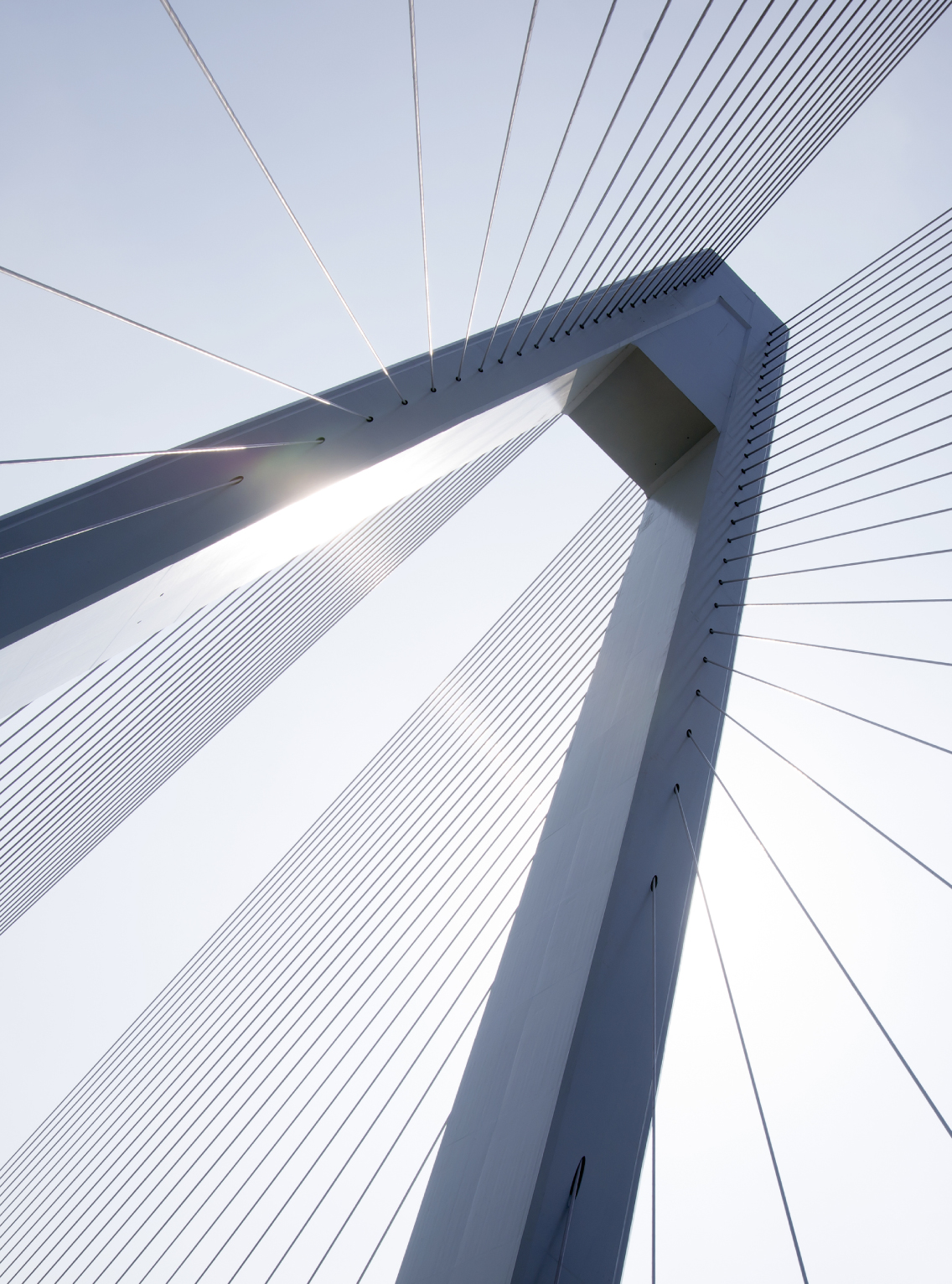 Japan Growth Bridge